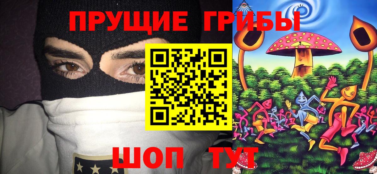 Галлюциногенные грибы прущие грибы Новый Уренгой